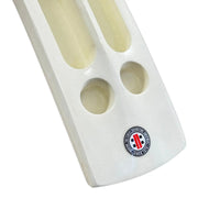 Gray Nicolls Scoop 7 Star Kashmiri Willow Bat - Cricket shop italy